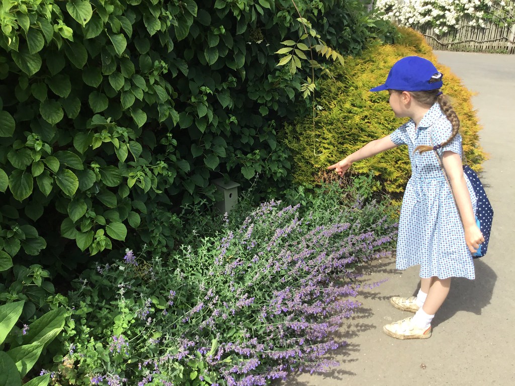 blenheim palace school trip